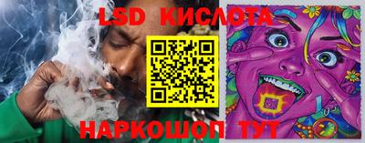 PSILOCYBIN Изобильный